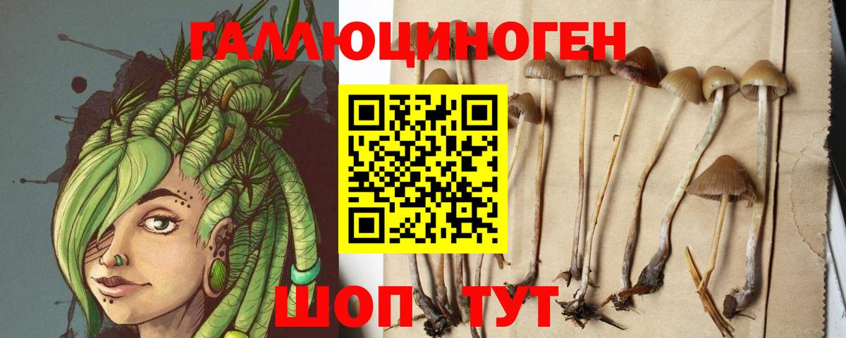 Псилоцибиновые грибы MAGIC MUSHROOMS Тверь